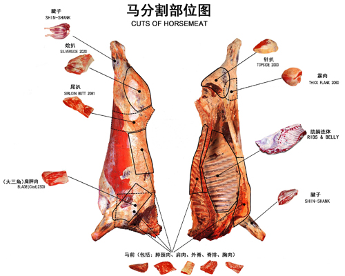 八分体马肉